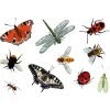 Abziehtattoos Insekten
