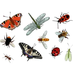 Abziehtattoos Insekten