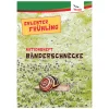 Aktionsheft Bänderschnecke