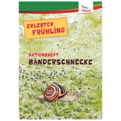Aktionsheft Bänderschnecke