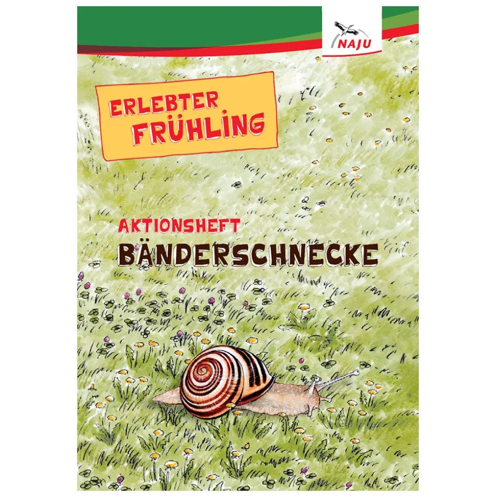 Aktionsheft Bänderschnecke