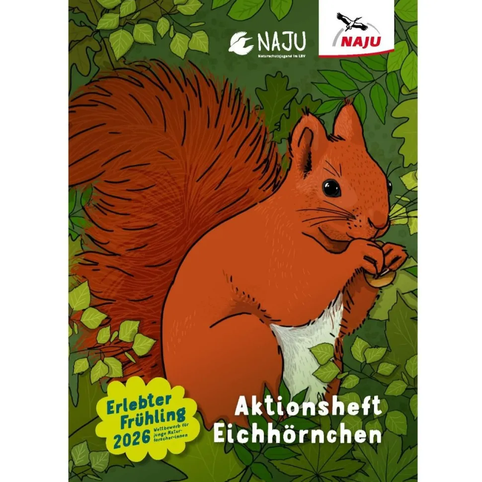 Aktionsheft Eichhörnchen