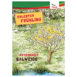 Aktionsheft Salweide