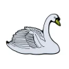 Ansteckpin Höckerschwan