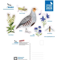 Aufkleber-Postkarte - Vogel des Jahres 2026
