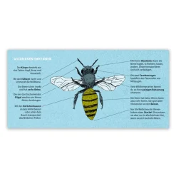 Bee's Inn: Wildbienen-Bestimmungshilfe