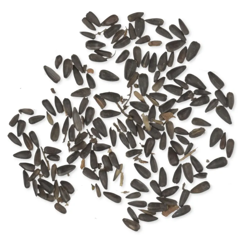 Bio Schwarze Sonnenblumenkerne 2,5 kg
