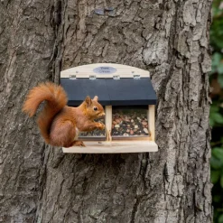 Eichhörnchenfutterautomat Galiano