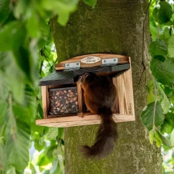 Eichhörnchenfutterautomat Galiano
