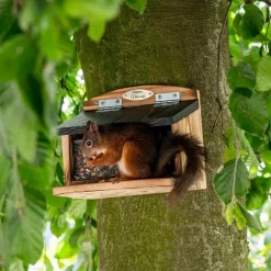 Eichhörnchenfutterautomat Galiano
