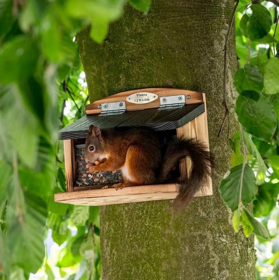 Eichhörnchenfutterautomat Galiano