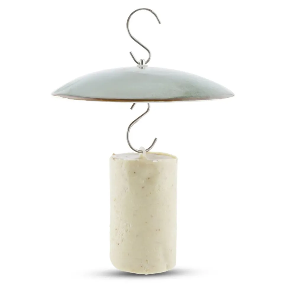 Energiekuchen mit Insekten, 500 ml