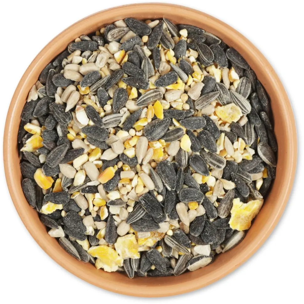 Energiereiche Samen, 2,5 - 10 kg
