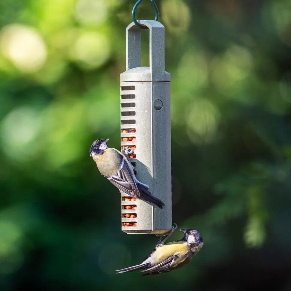 Erdnuss-Säule aus recycelten PET-Flaschen