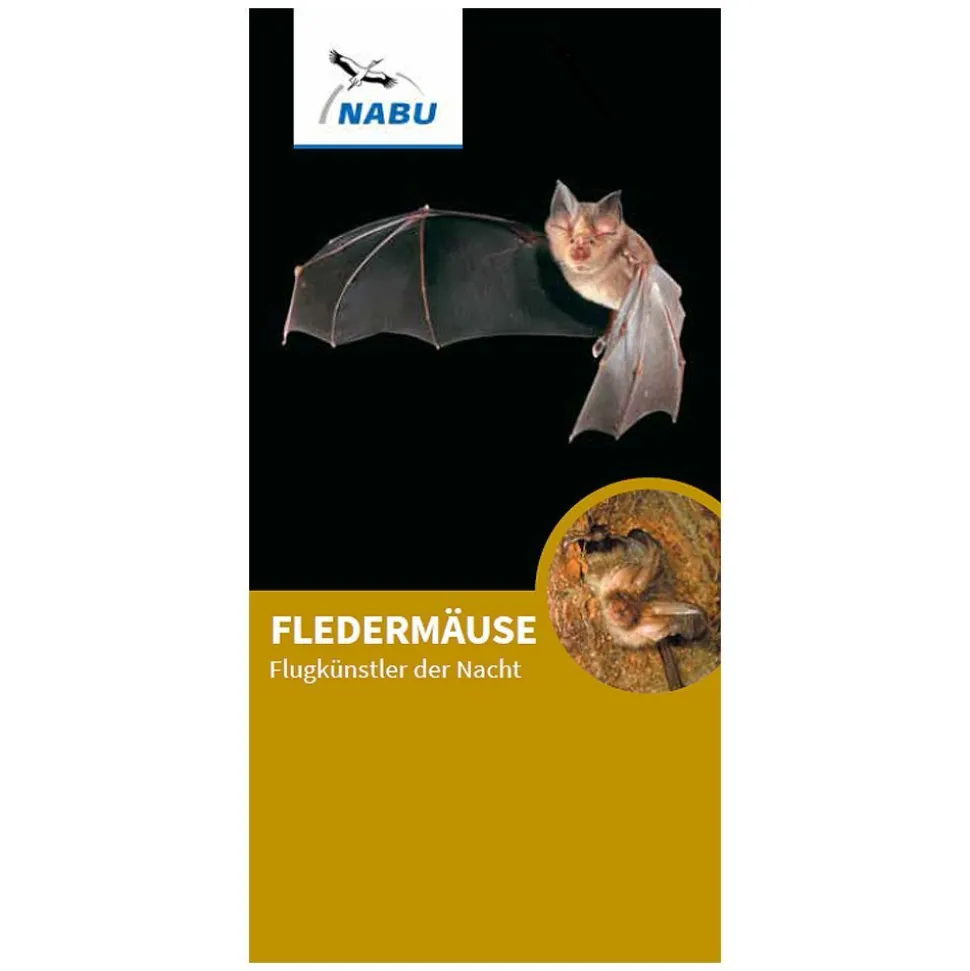 Faltblatt Fledermäuse - Flugkünstler der Nacht