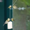 Fenster-Aufhängung „Bird Swing XXL“