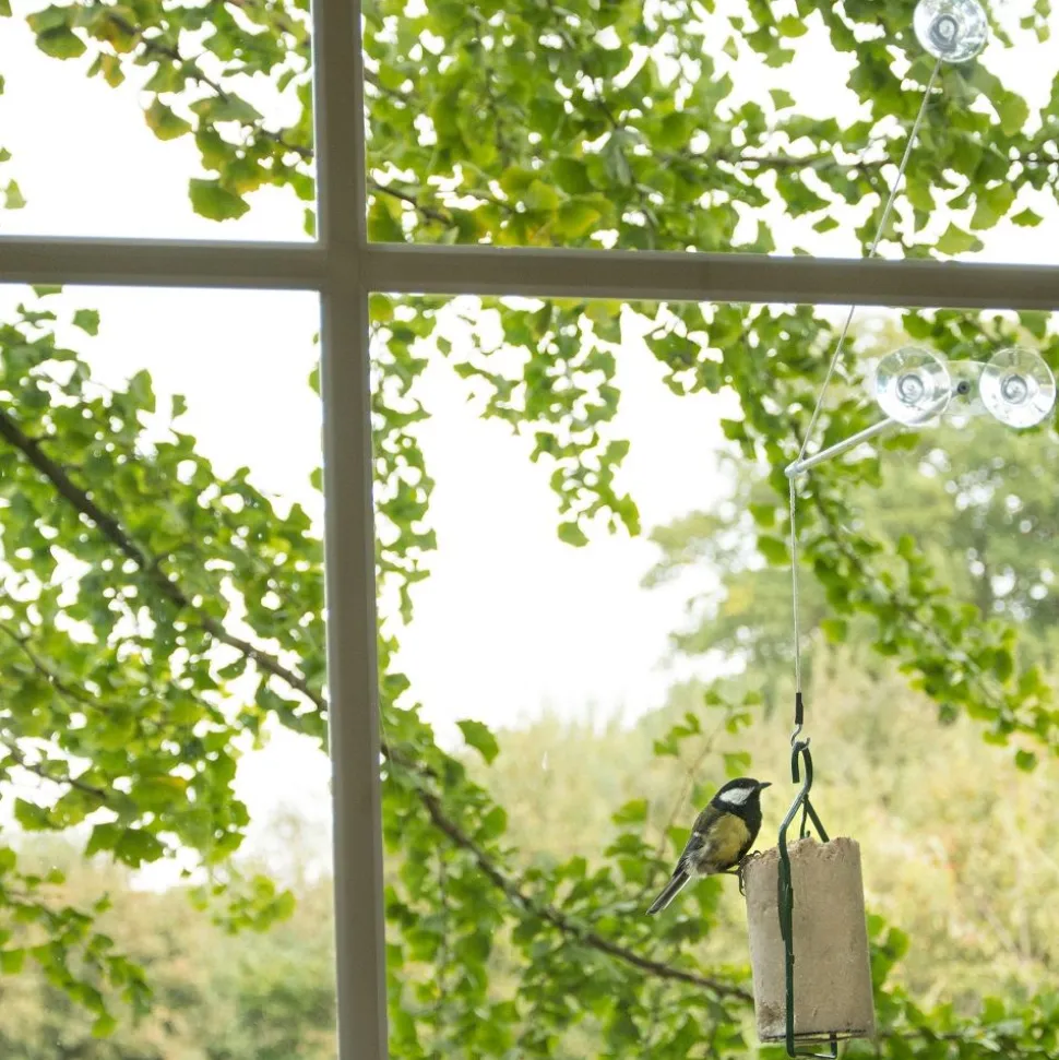 Fenster-Aufhängung „Bird Swing XXL“