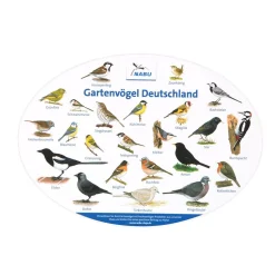 Fensterposter Gartenvögel