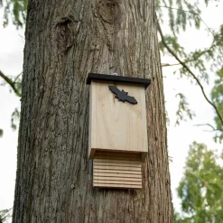 Fledermauskasten Glamis