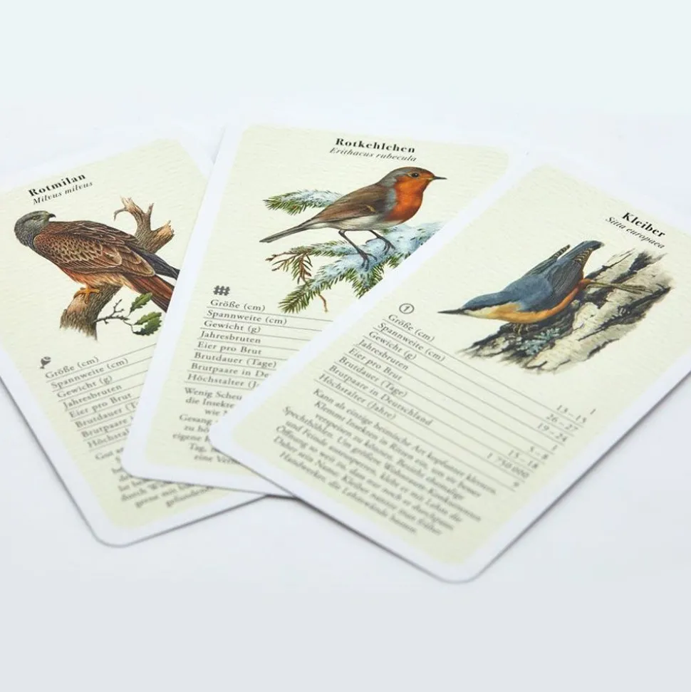 Fliegende Edelsteine – Das Vogelquartett