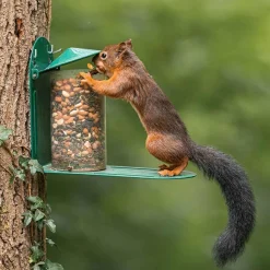 Futterautomat für Eichhörnchen