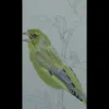 Geschirrhandtuch Gartenvögel
