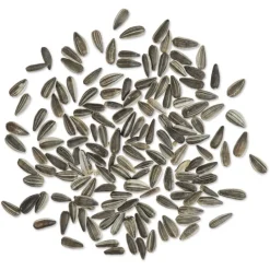 Gestreifte Sonnenblumenkerne, 1 - 10 kg