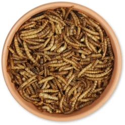 Getrocknete Mehlwürmer, 250 - 500 g