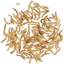 Getrocknete Mehlwürmer, 250 - 500 g