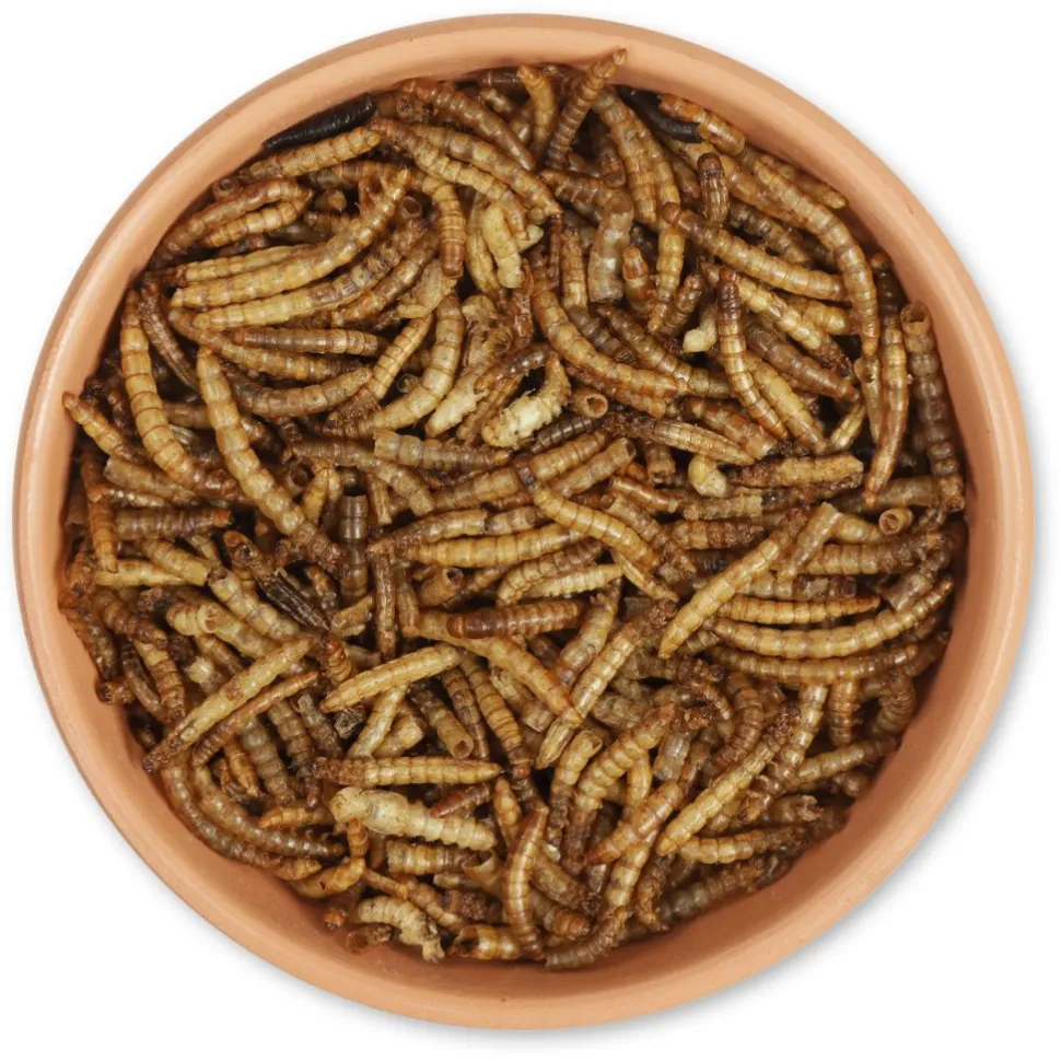 Getrocknete Mehlwürmer 50 g