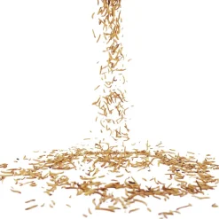 Getrocknete Mehlwürmer 50 g