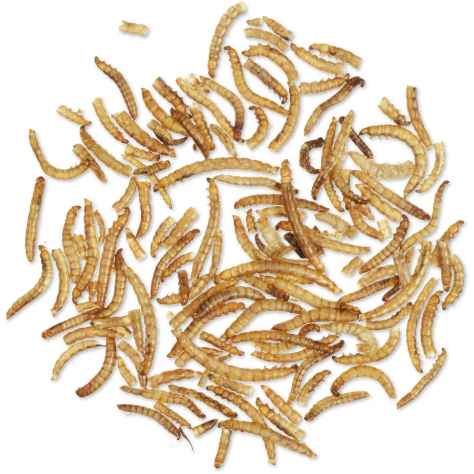 Getrocknete Mehlwürmer 50 g