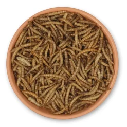 Getrocknete Mehlwürmer 2 kg