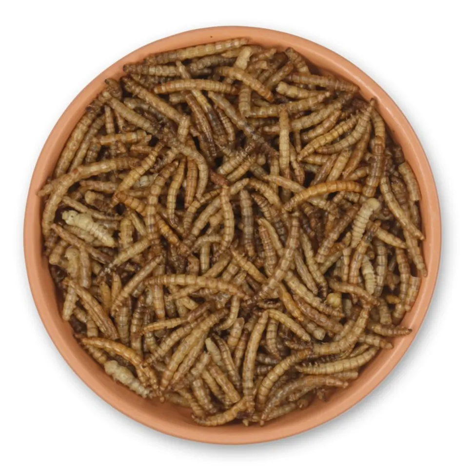 Getrocknete Mehlwürmer 2 kg