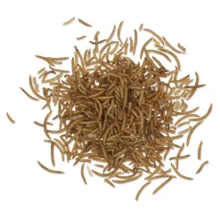 Getrocknete Mehlwürmer 2 kg