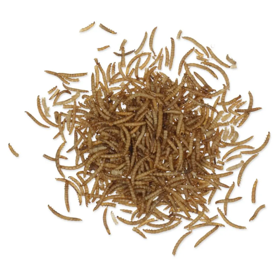 Getrocknete Mehlwürmer 2 kg