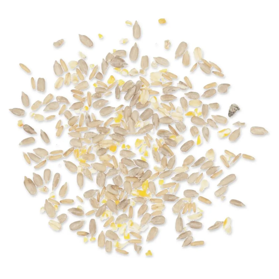Green+ Samen Plus 2,5kg (biologischer Anbau)