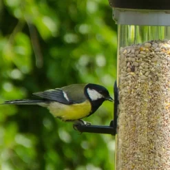 Green+ Samen Plus 2,5kg (biologischer Anbau)