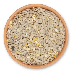 Green+ Samen Plus 2,5kg (biologischer Anbau)