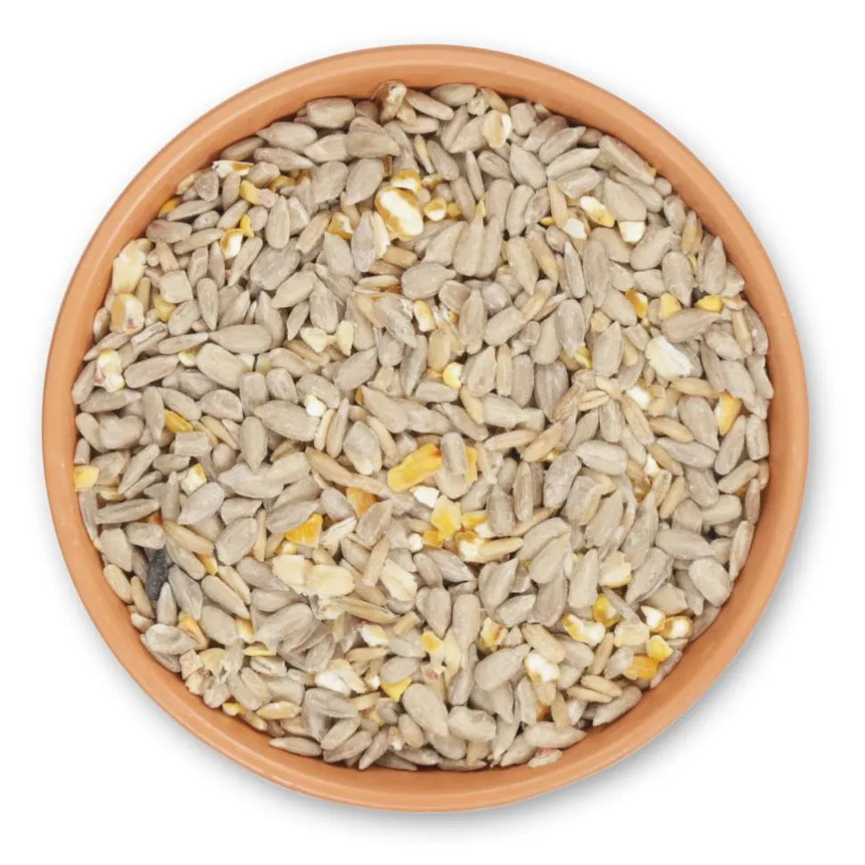 Green+ Samen Plus 2,5kg (biologischer Anbau)