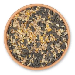 Green+ Streufutter 2,5kg (biologischer Anbau)