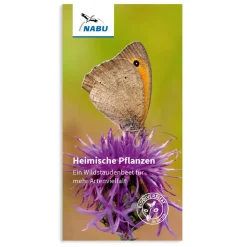 Heimische Pflanzen - Ein Wildstaudenbeet für mehr Artenvielfalt