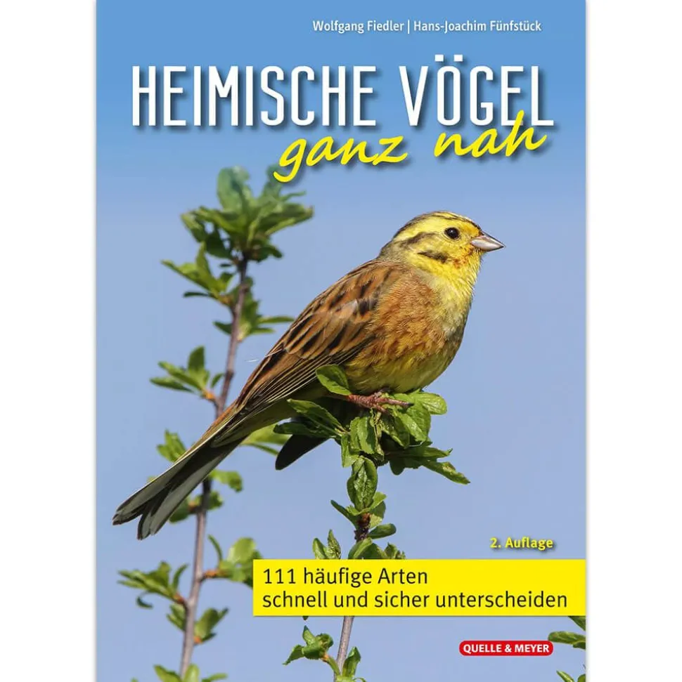 Heimische Vögel ganz nah