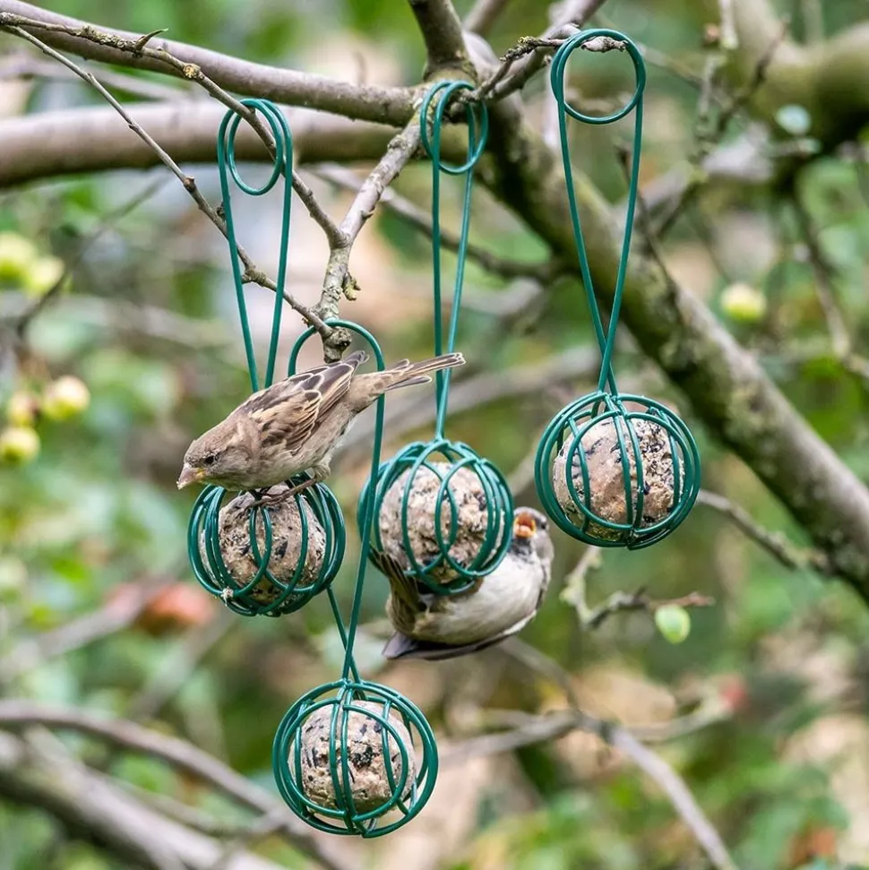 2-in-1 Meisenknödel-Halter und -Greifer „Lima“