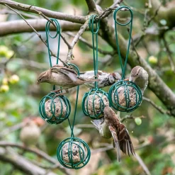 2-in-1 Meisenknödel-Halter und -Greifer „Lima“