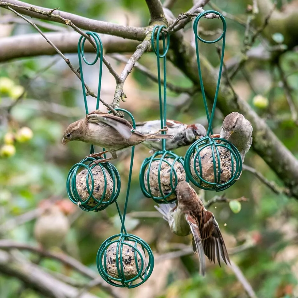2-in-1 Meisenknödel-Halter und -Greifer „Lima“