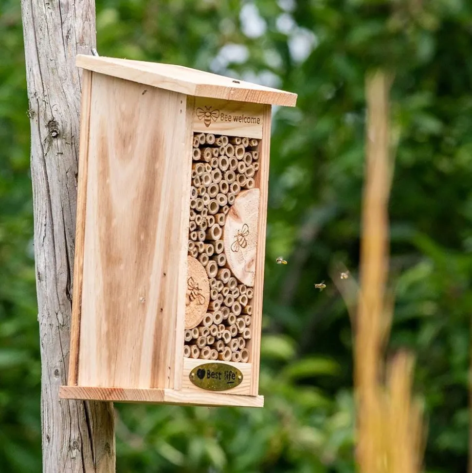 Insektenhotel Marchena