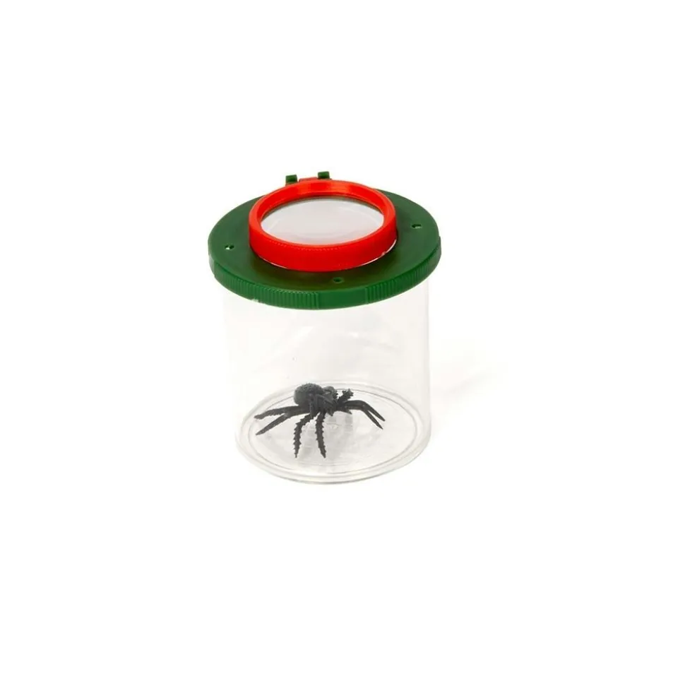 Insekten-Lupenbecher Darwin