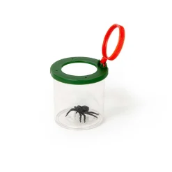 Insekten-Lupenbecher Darwin