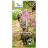 Lebensraum Garten - Pflanzen und Strukturen für Tiere